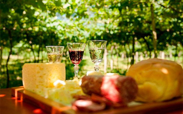 Sabor e tradição: 5 comidas típicas de Santa Catarina