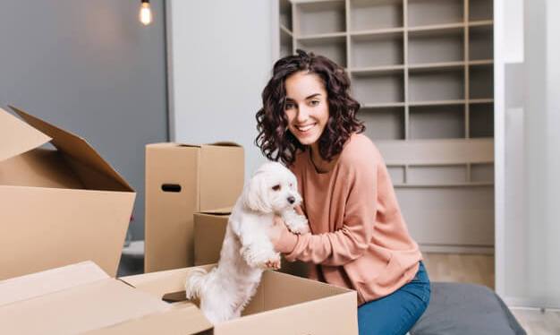 Conheça as 7 melhores raças de cães para apartamento