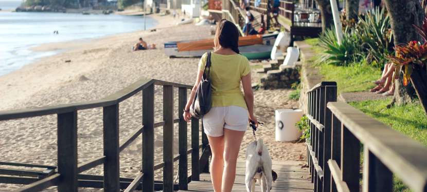 Viagem: Quais os cuidados você precisa ter com o cachorro na&nbsp;praia?