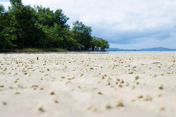 Detalhes da areia de uma praia durante o dia